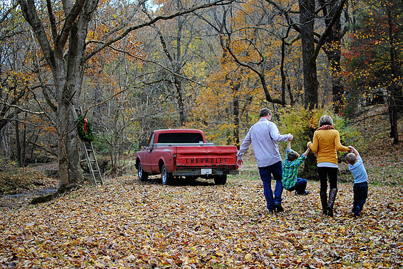 Woodlawn-creek-bottom