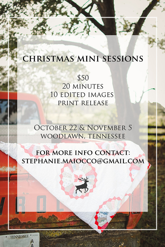 Christmas Minis 2016